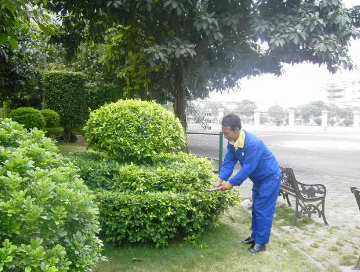 綠化養(yǎng)護如何提高管理水平？