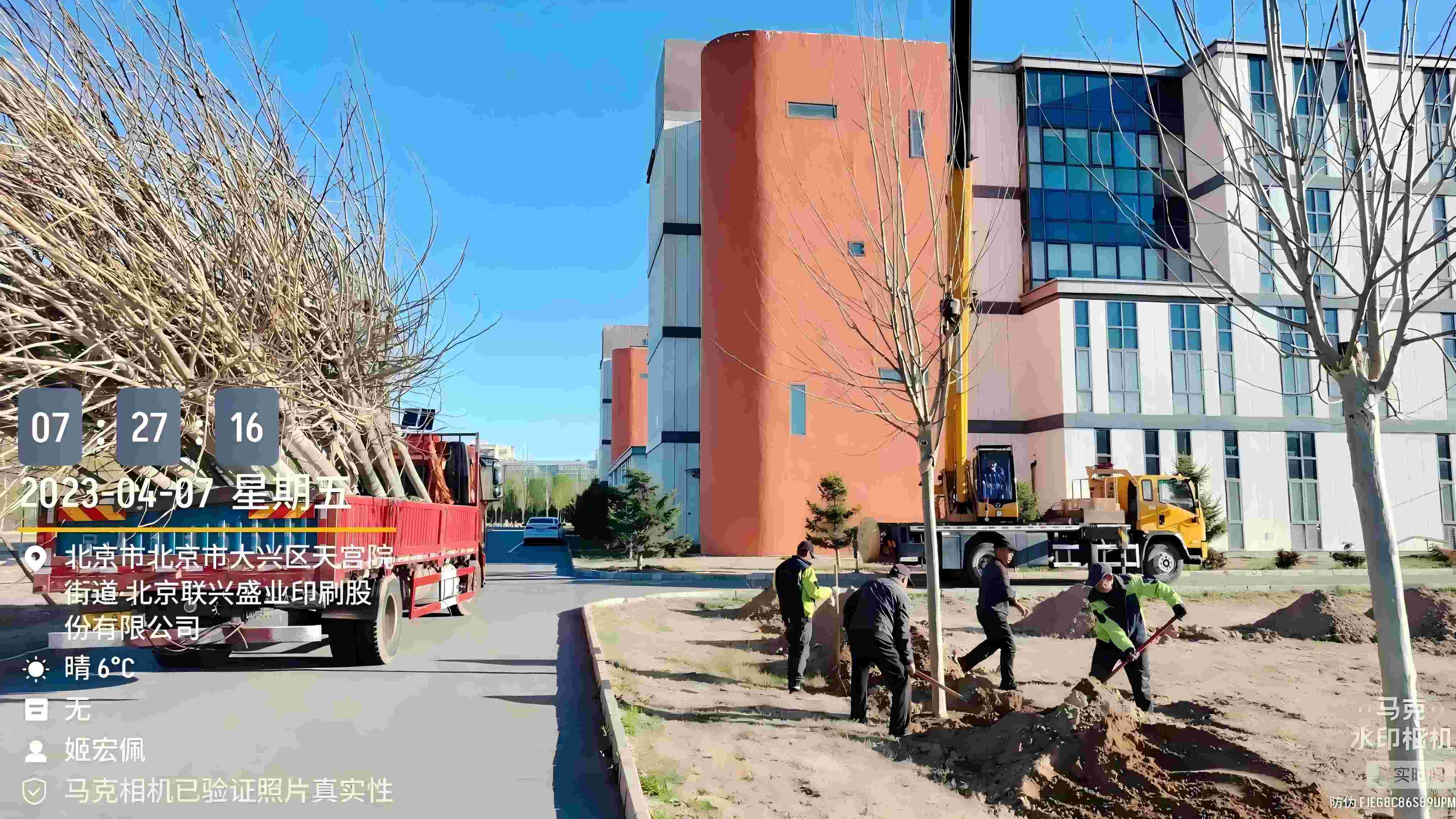 北京春季植樹最好的時間是什么時候？